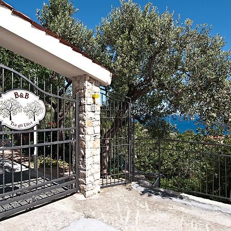 Tra Gli Ulivi Bed & Breakfast Pietra Ligure Luaran gambar