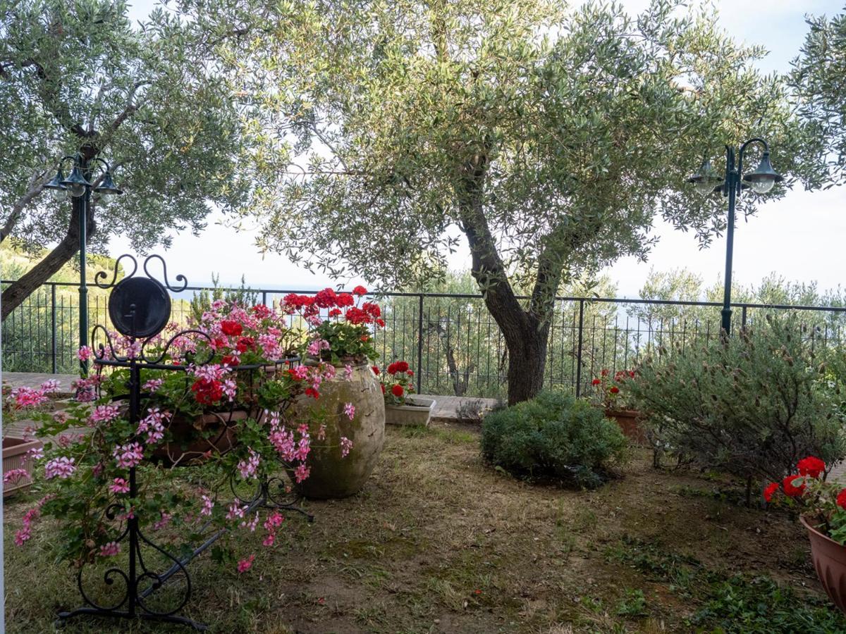 Tra Gli Ulivi Bed & Breakfast Pietra Ligure Luaran gambar