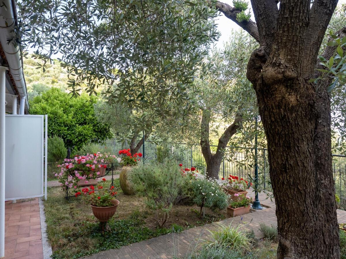 Tra Gli Ulivi Bed & Breakfast Pietra Ligure Luaran gambar
